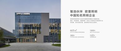 全視角解析 產(chǎn)品價(jià)格、參數(shù)、圖片與技術(shù)服務(wù)的綜合評估